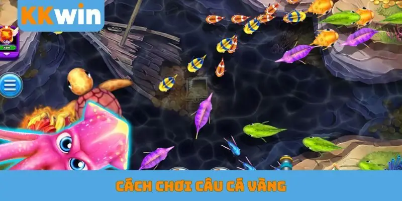 câu cá vàng